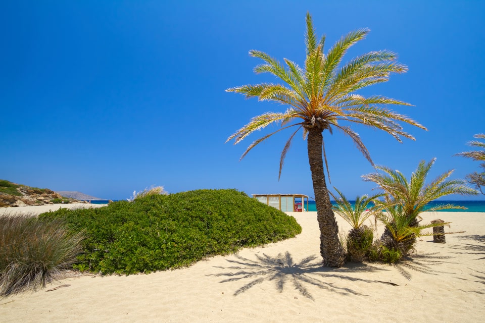 Die malerischsten Orte auf Kreta: Palmenstrand von Vai, Region Lasithi