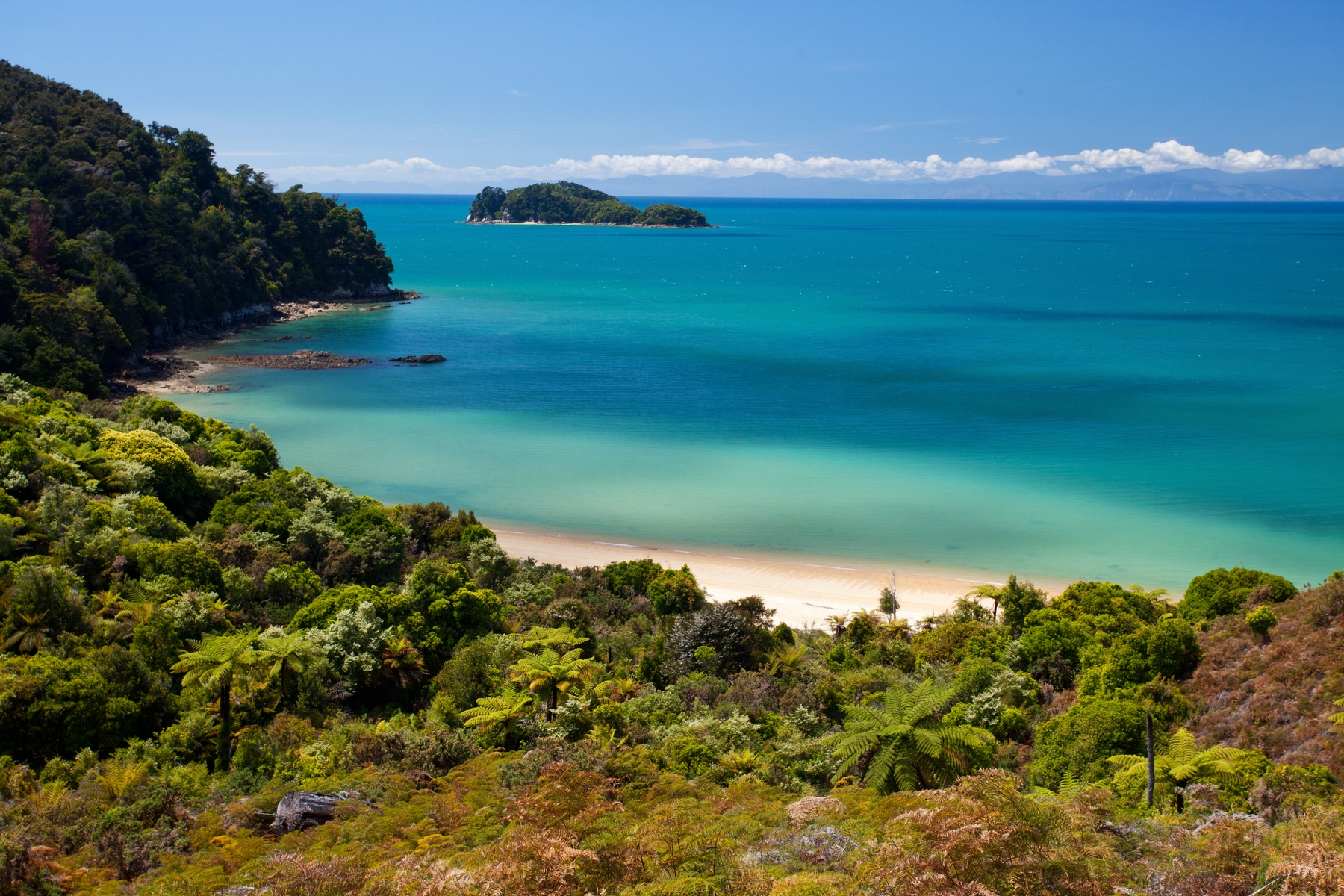 Waar op vakantie in januari - Tasmanië Australië