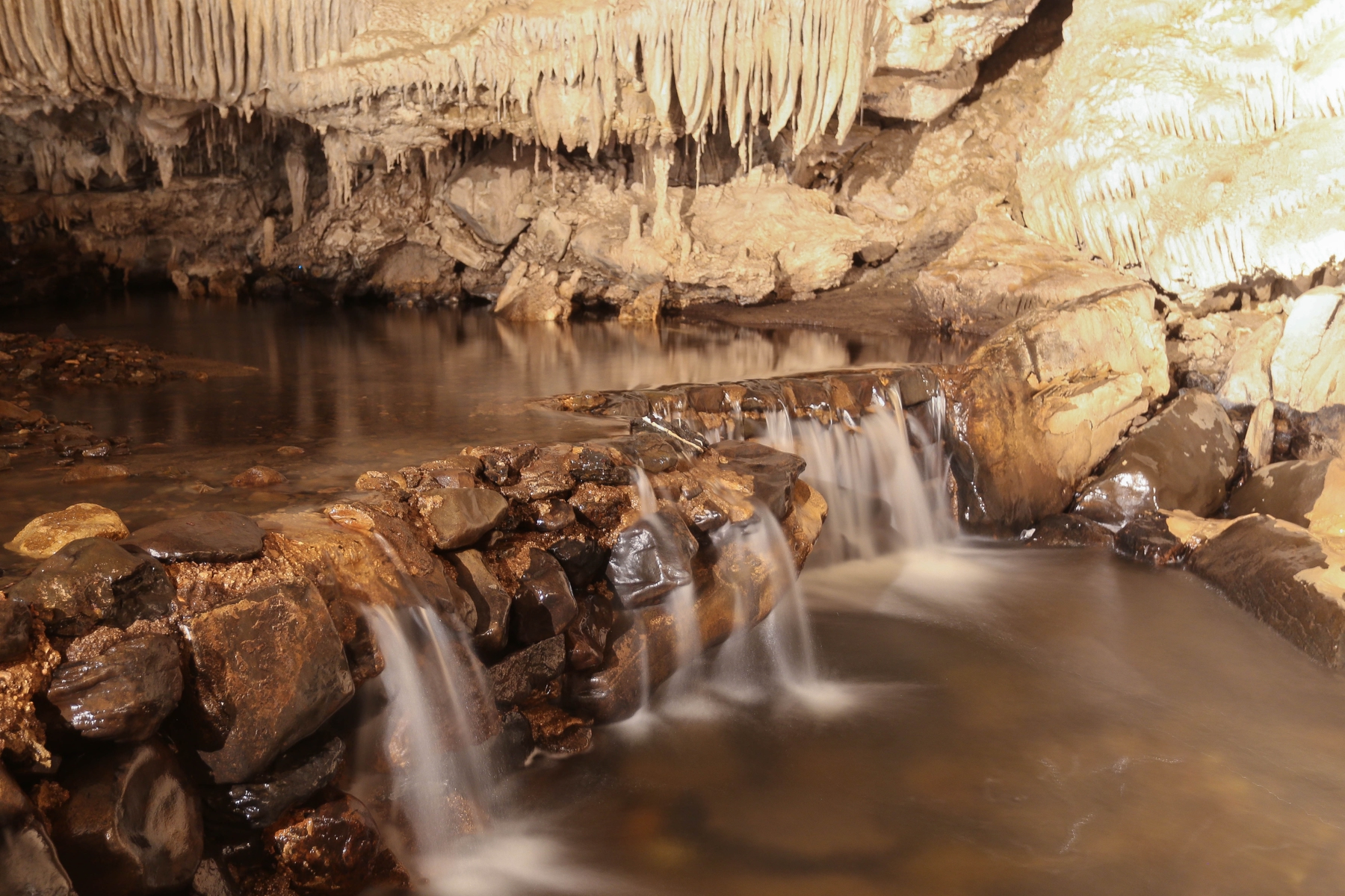 Marakoopa Cave, a limestone cave in Mole Creek Karst national park, north west Tasmania.