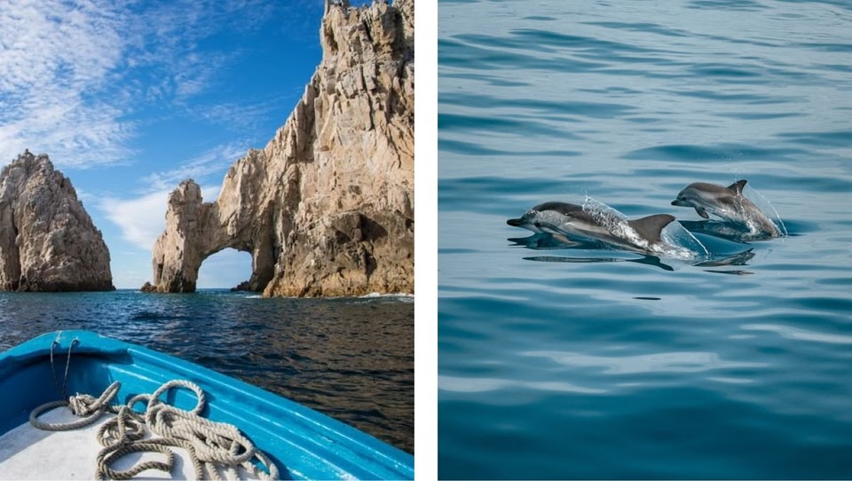 Arco de roca en el mar y delfines nadando.
