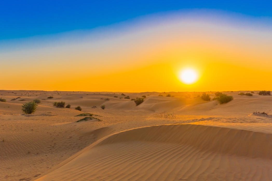 アラブ首長国連邦（UAE）ドバイ「ドバイ・デザート・コンサベーション・リザーブ」