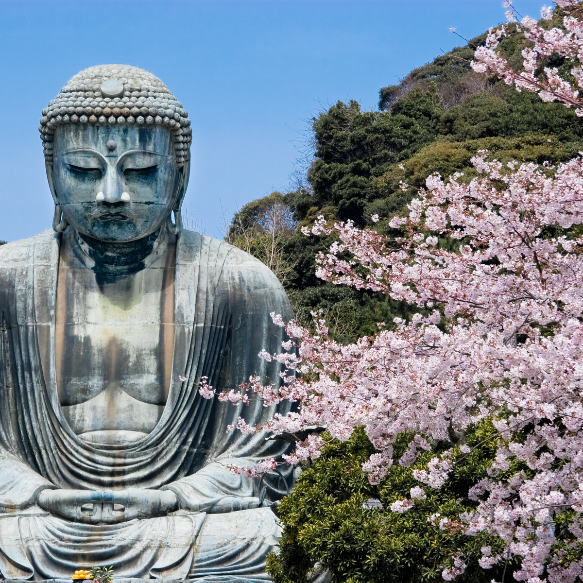 Fly cheap flights to Japan