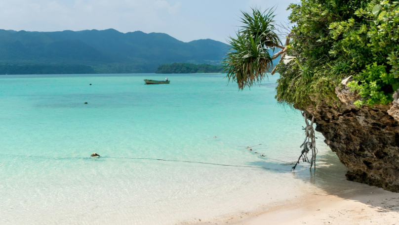 una fantastica spiaggia di sabbia bianca in Giappone, circondata da una vegetazione lussureggiante durante il giorno.