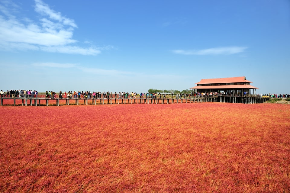 Красный пляж, Паньцзинь, Китай