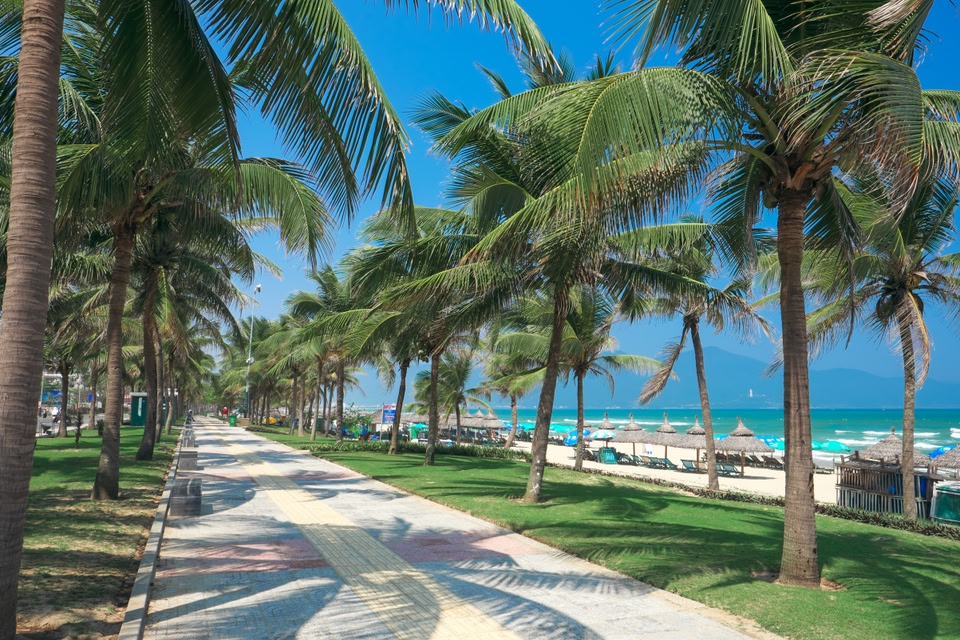 The waterfront promenade at My Khe beach in Da Nang, fringed with palm trees.