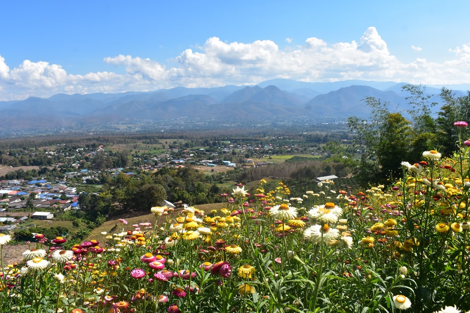 soleil en juin : voyager à Thaïlande