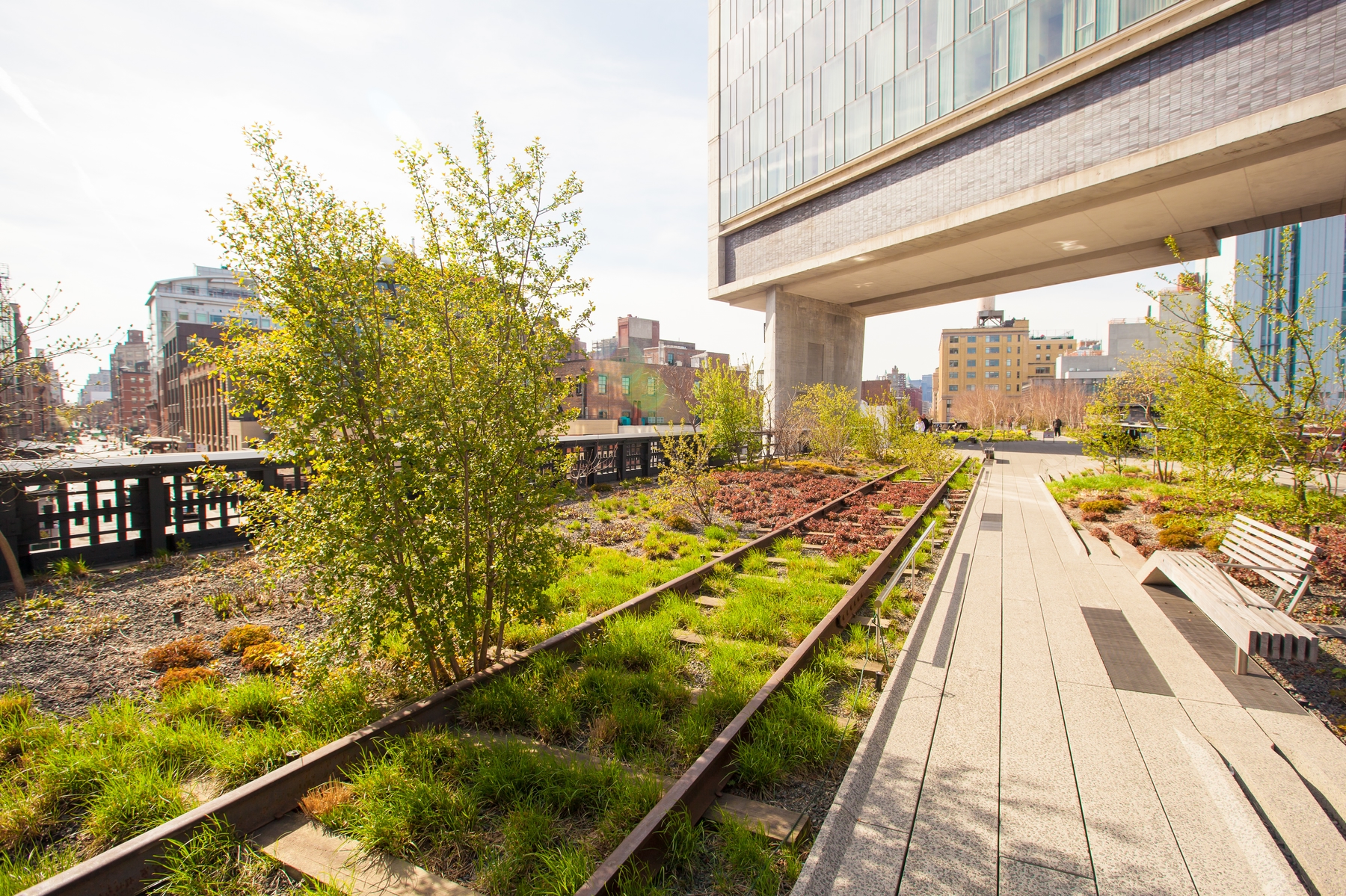 free things to do in New York City, The Highline, grassy railroad tracks and seating areas