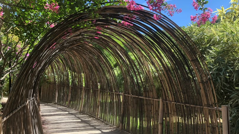 Greenery tunnel in a park in France