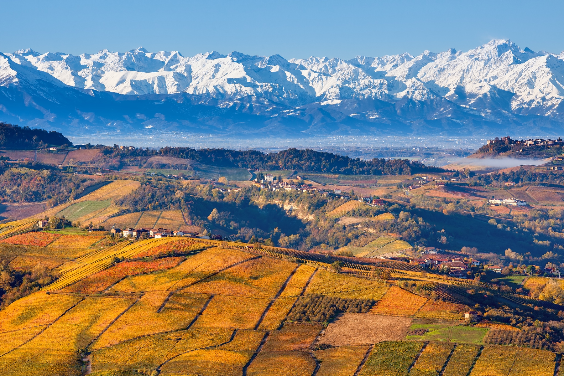 Langhe e Roero