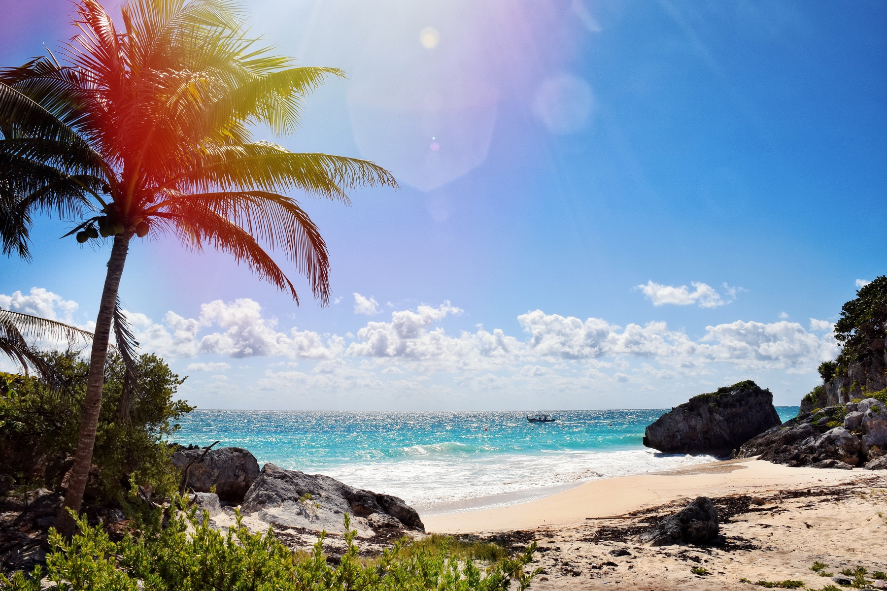 a sunny day on a clear ocean beach surrounded by a palm tree and rocks