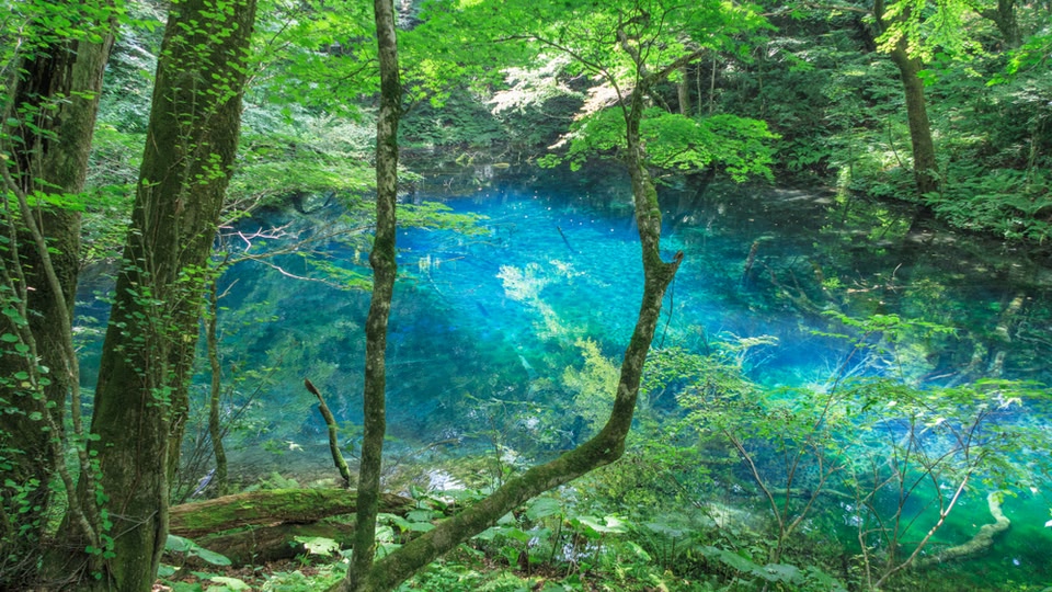 白神山地(青森)
神秘的な青に魅せられる