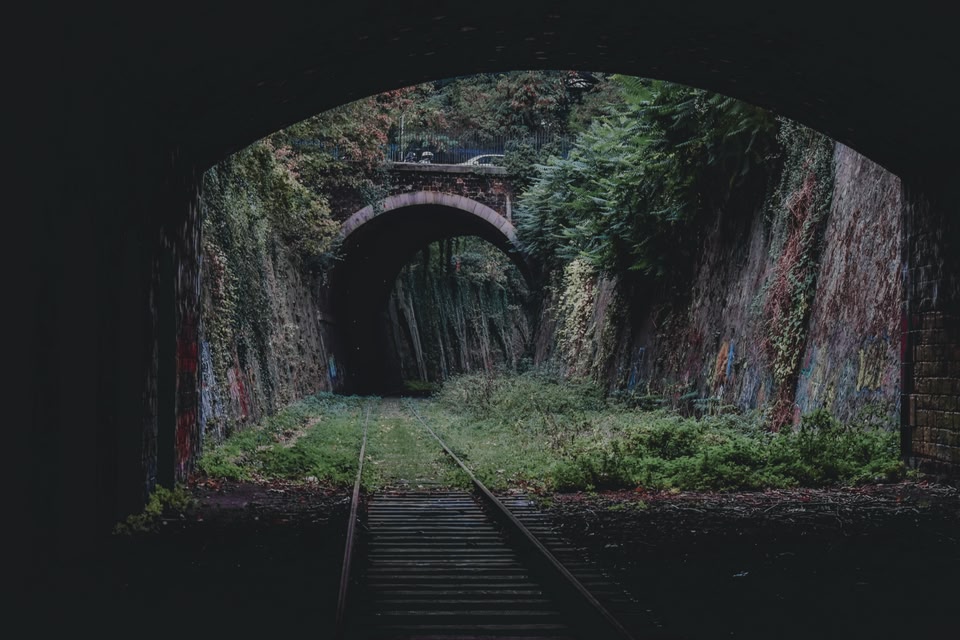 An overgrown train track leading out a tunnel