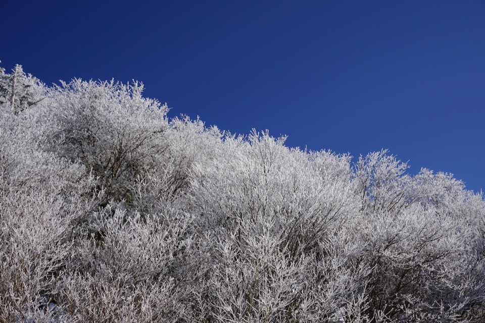 広島の観光 旅行 おすすめ情報の記事一覧 スカイスキャナー