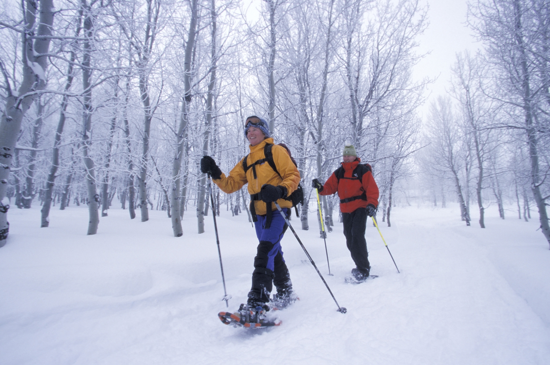 two people snowshoeing in a winter wonderland, a popular outdoor activity in Canada