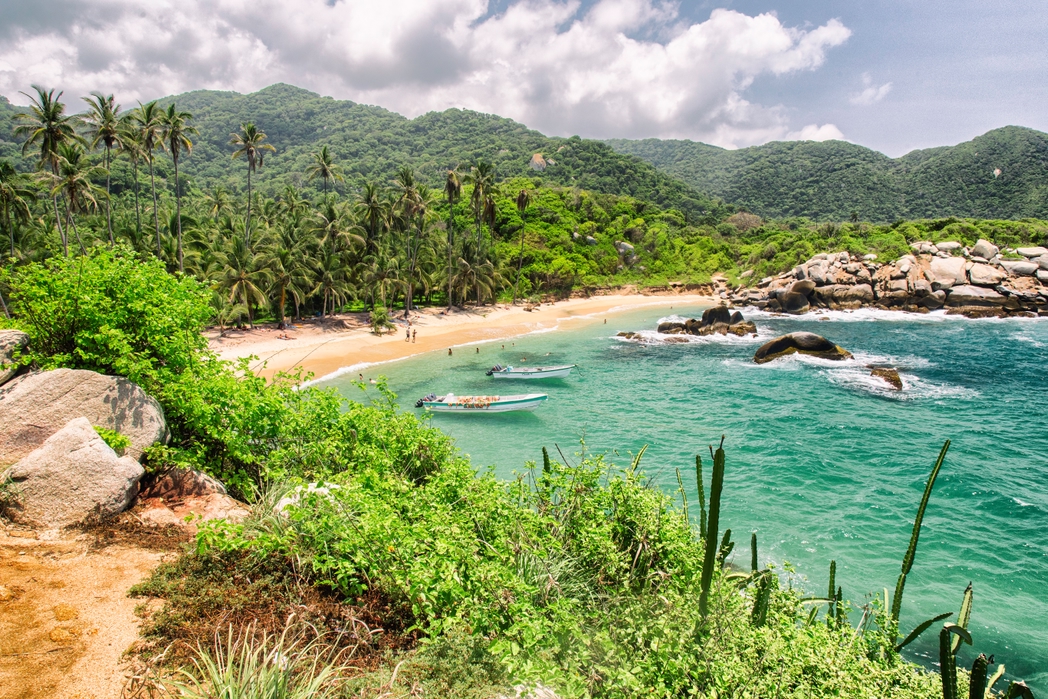 Palm trees behind beach at Tayrona National Park - reasons to visit Colombia