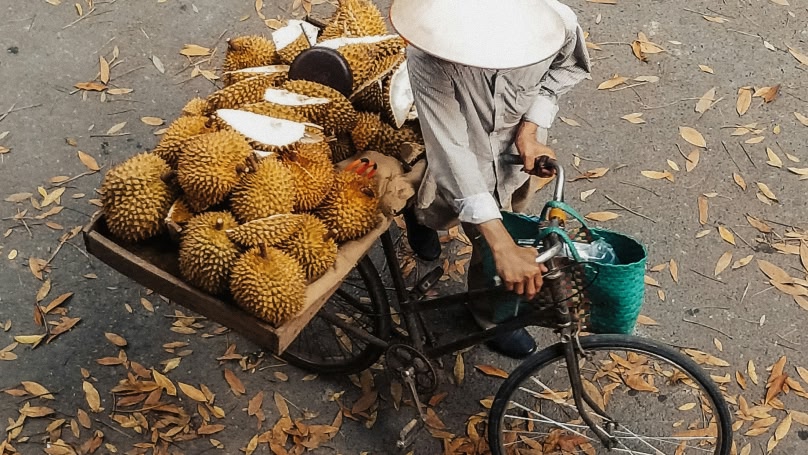 imagen de fruta local en bicicleta