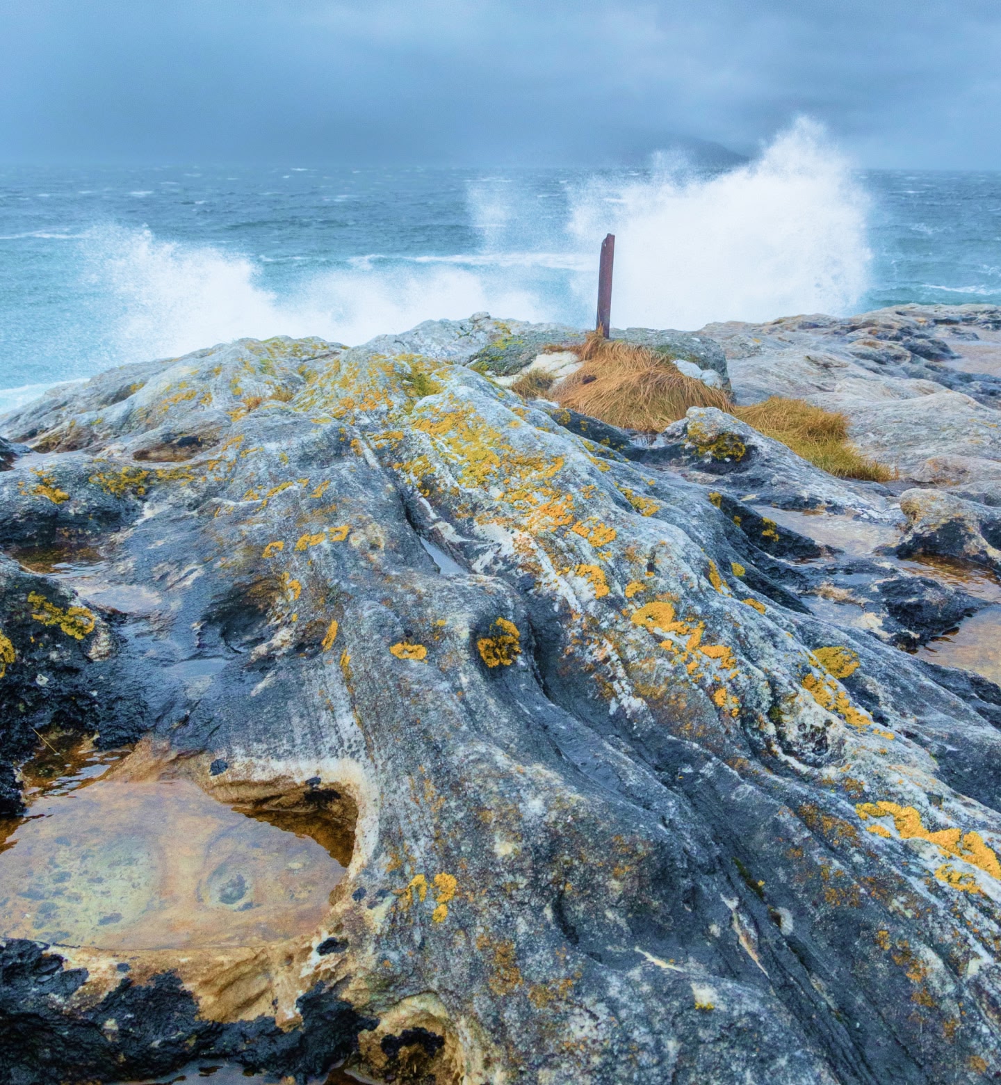 Golven slaan op met korstmossen bedekte rotsen aan de kust bij Evenes, Noorwegen.