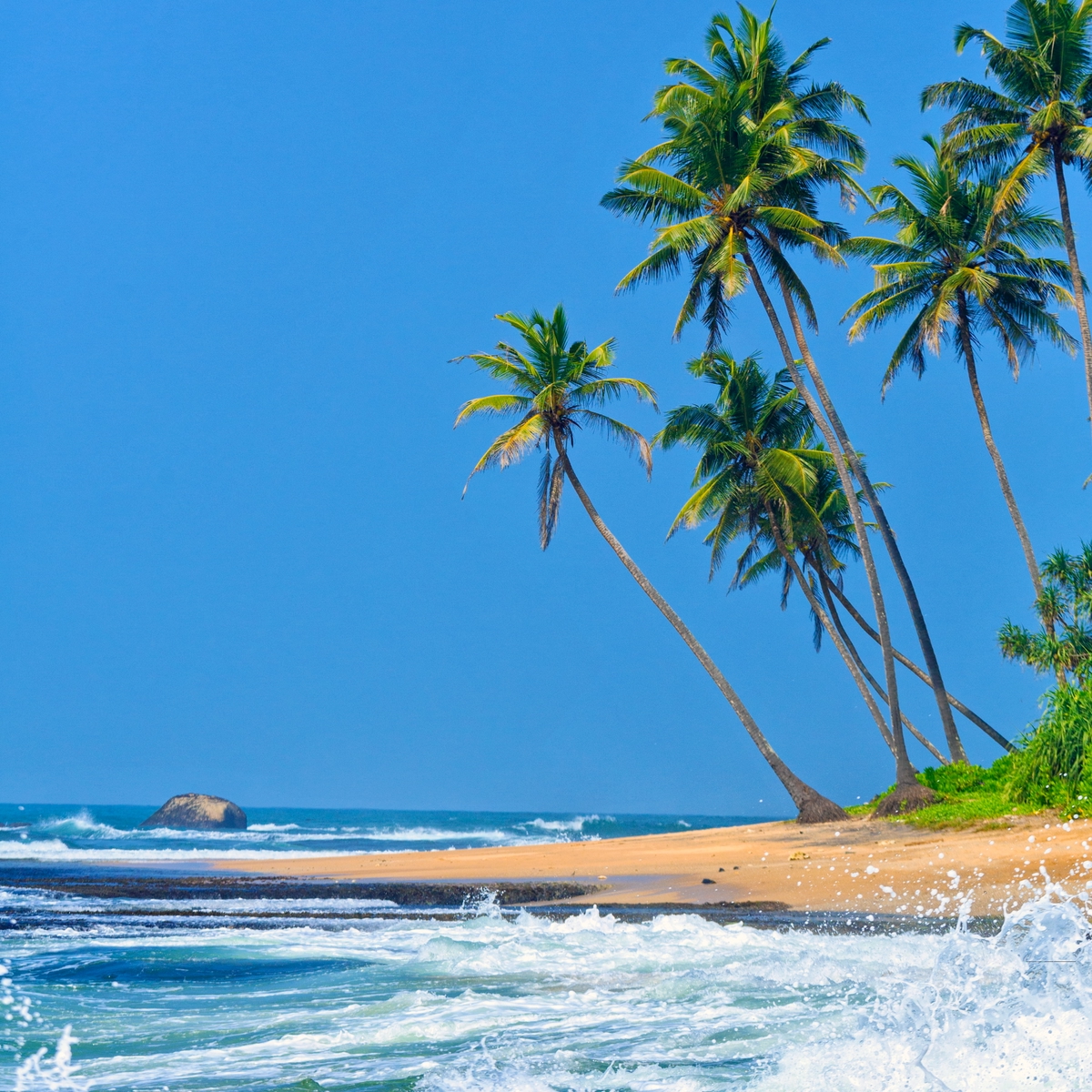 Tropical beach in Galle