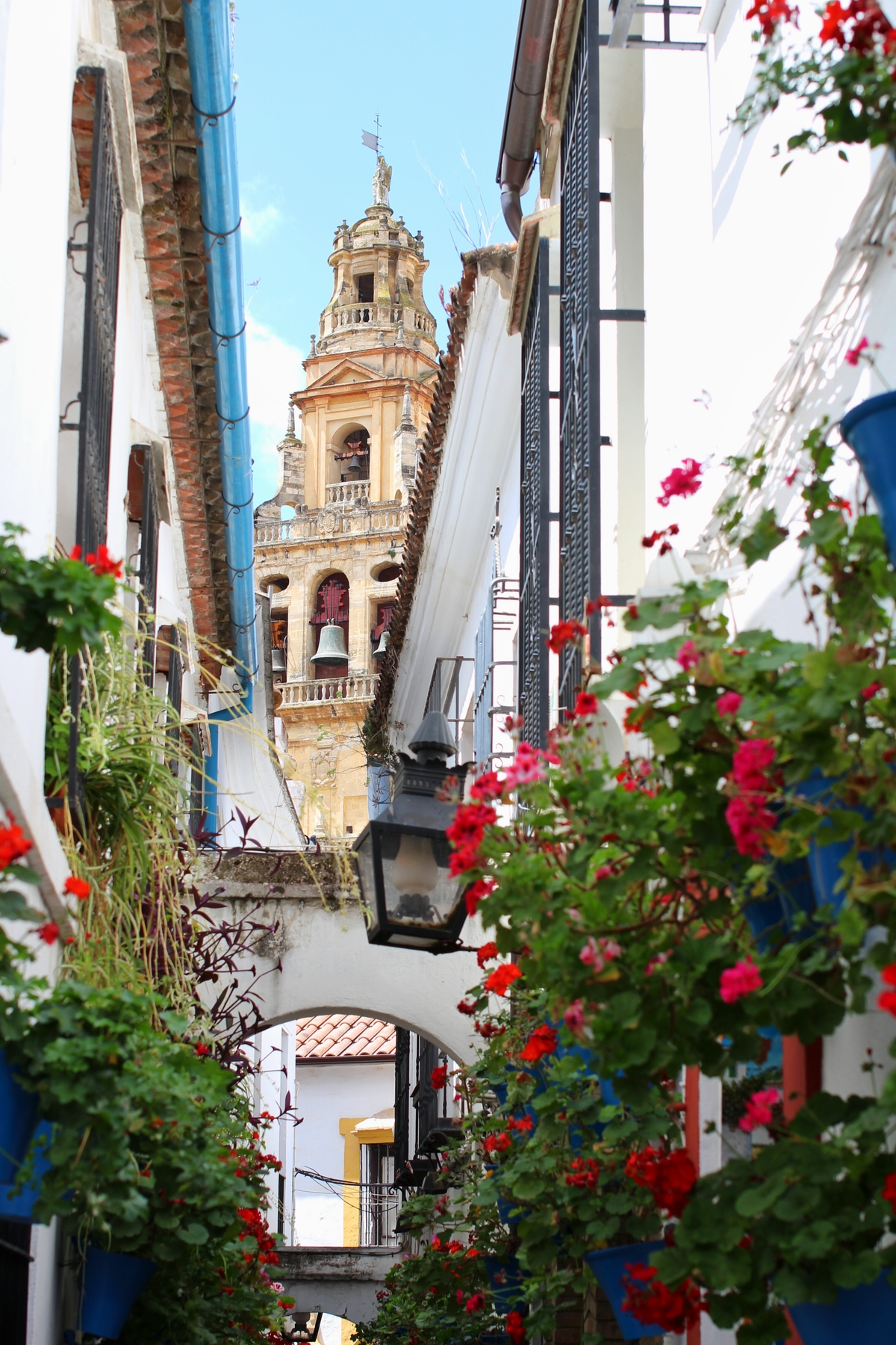 La Calleja de las Flores, una de las calles más bonitas que ver en Córdoba