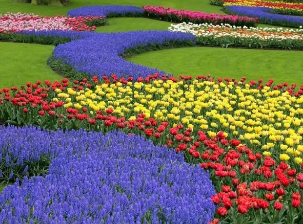 Hundreds of tulips and brightly coloured flowers planted to create a pattern on a green lawn.