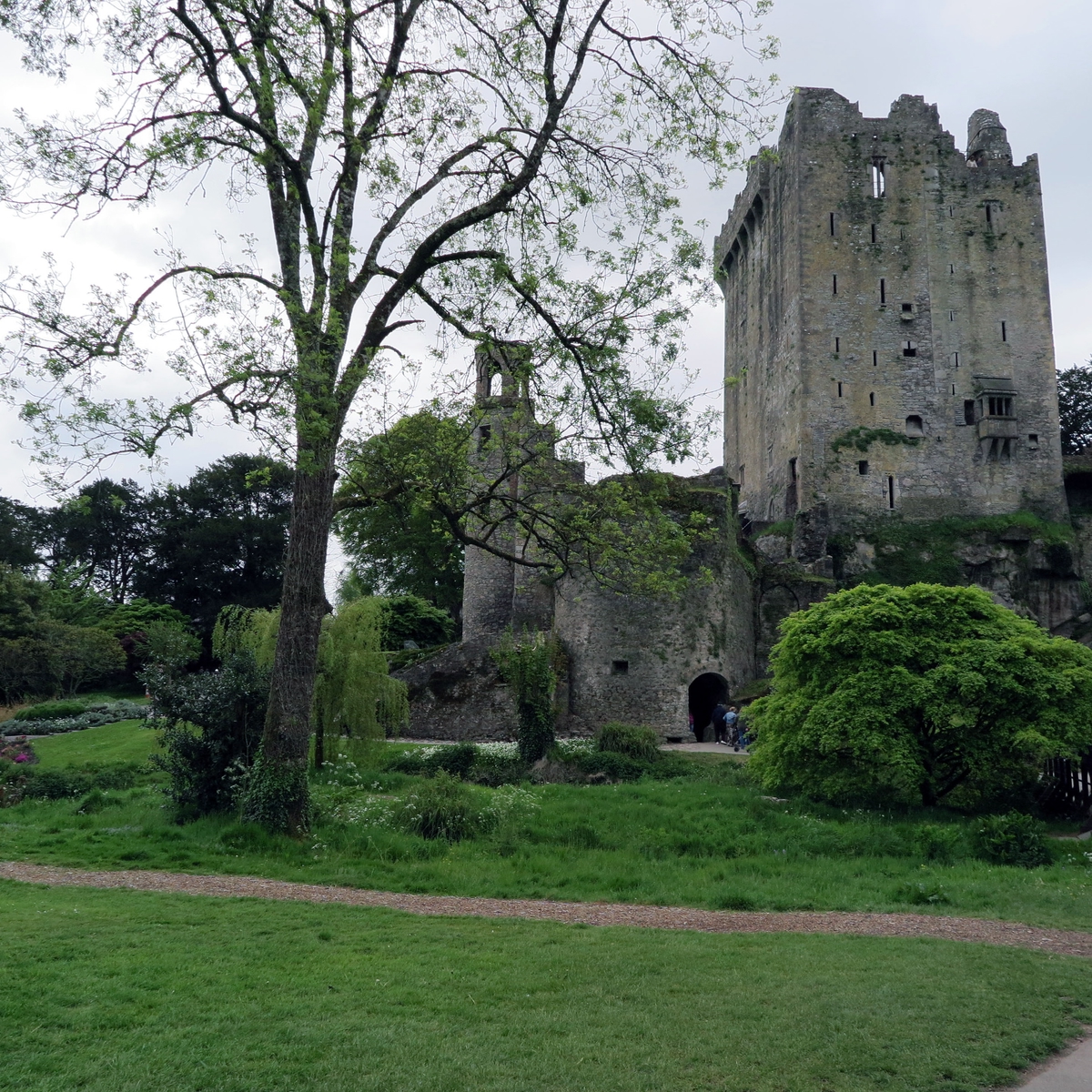Die schönsten Sehenswürdigkeiten Irlands: Blarney Castle mit Blarney Stone, Blarney, County Cork