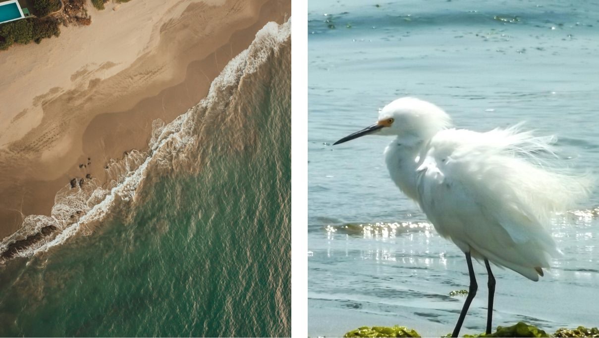 Aerial view of the beach during daytime