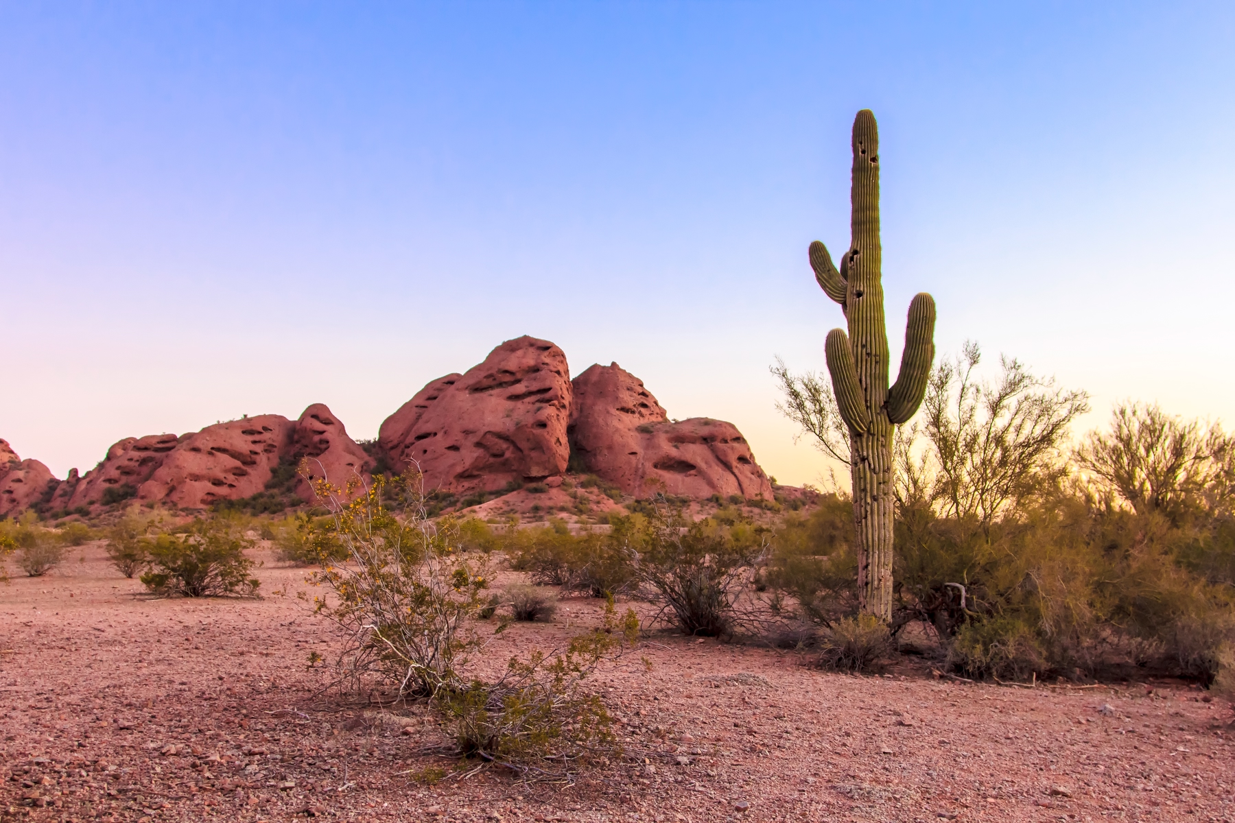 Red rocks with brush and cactus in Sedona, Arizona