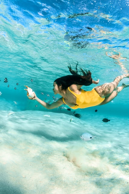 Die Unterwasserwelt auf Mauritius