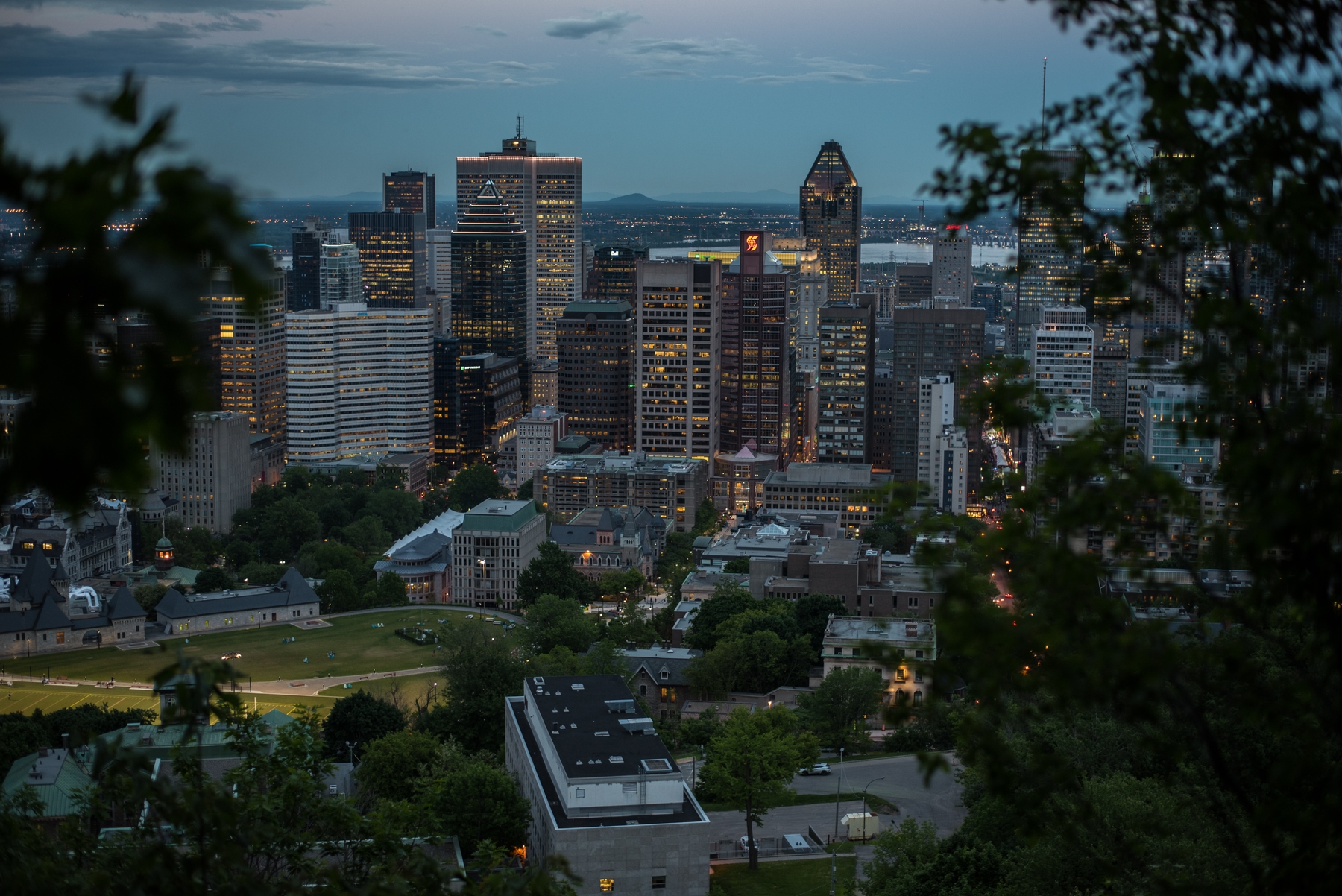 view of Montreal neighbourhood Mont Royal park in the evening
