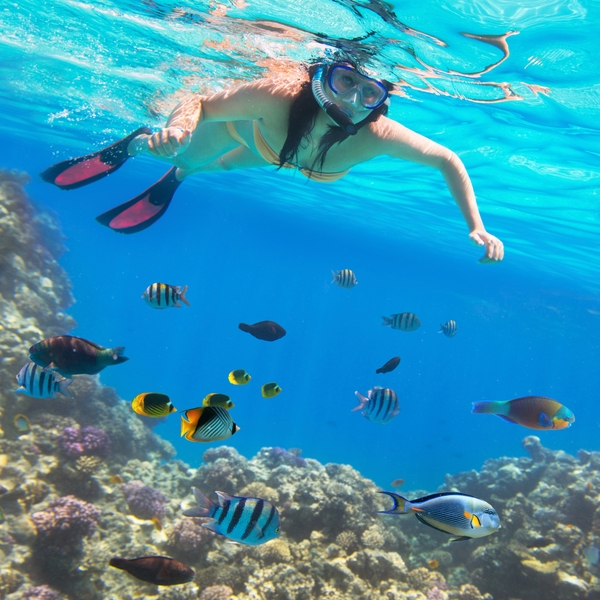 Hacer snorkeling en Holbox