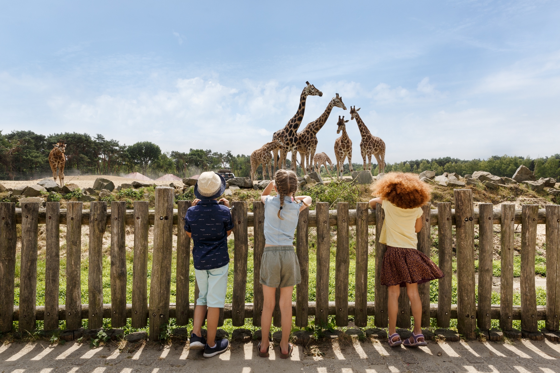 Safari Park Resort Beekse Bergen Brabant