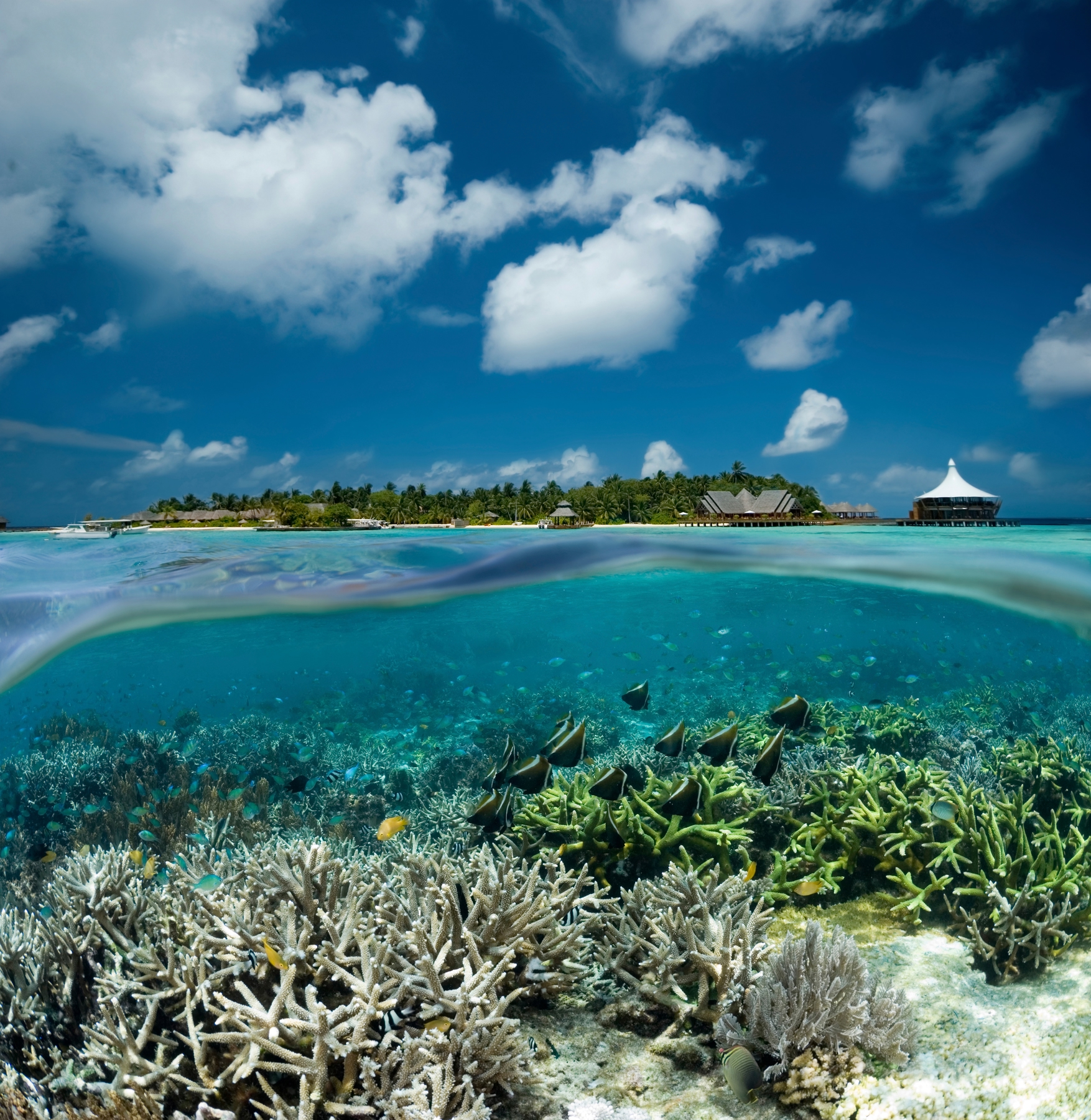 things to do in the Maldives