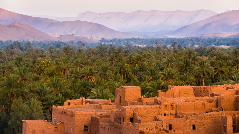 vista su delle case e natura a Marrakech