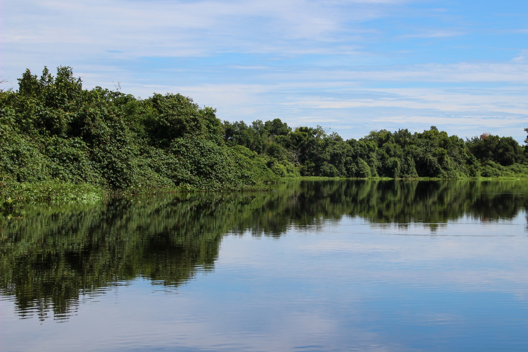 Bioma Pantanal e o turismo sustentável na região Skyscanner Brasil Bioma Pantanal e o turismo sustentável na região Skyscanner Brasil