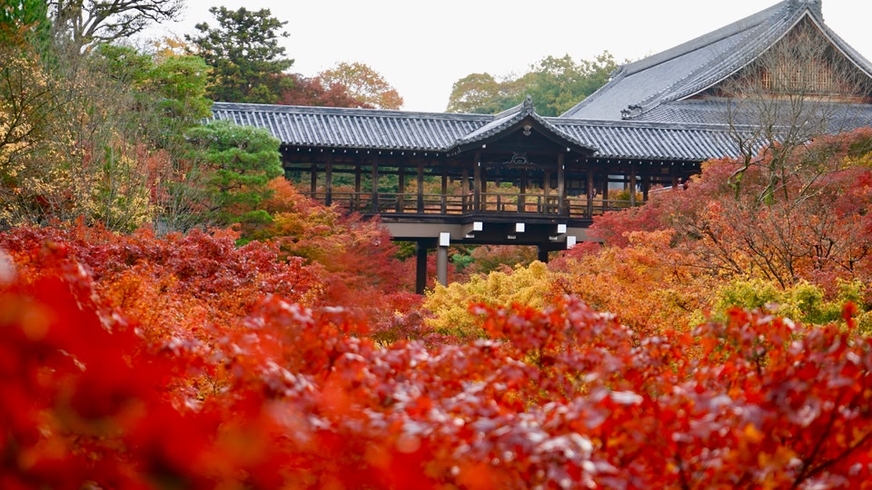 Tofukuji Tsutenkyo Bridge on autumn season