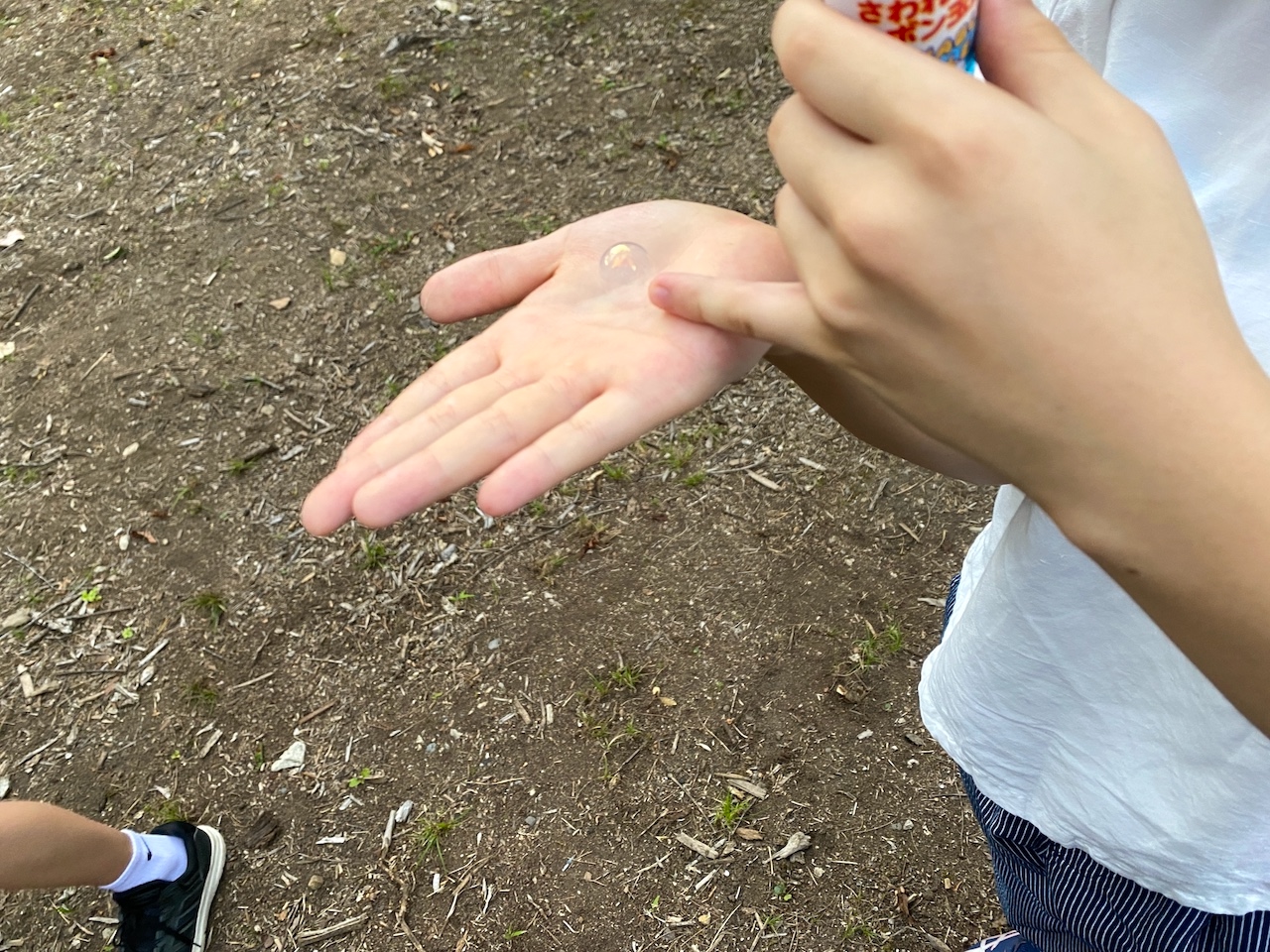 長野県　白馬村　「白馬東急ホテル」ガーデン