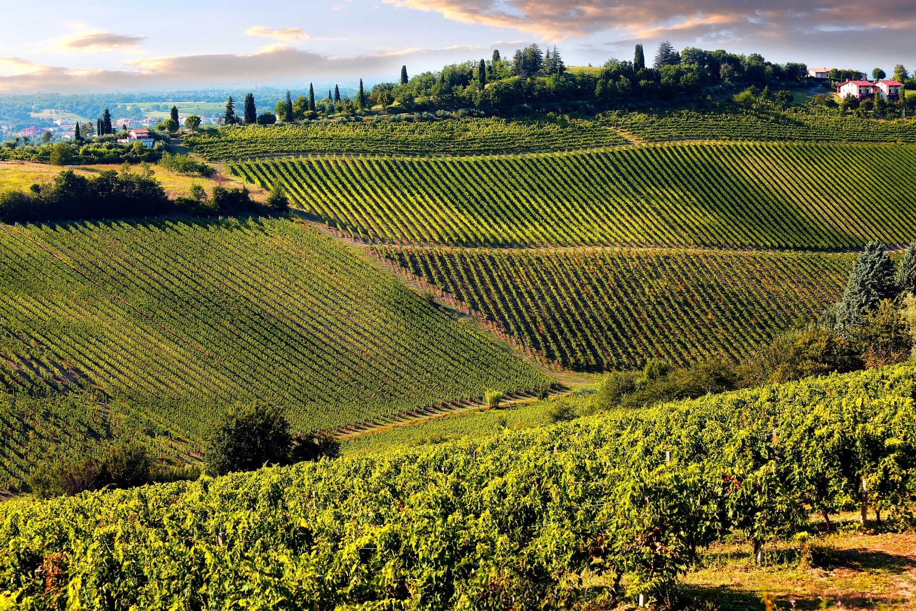 Dove andare a giugno: Chianti