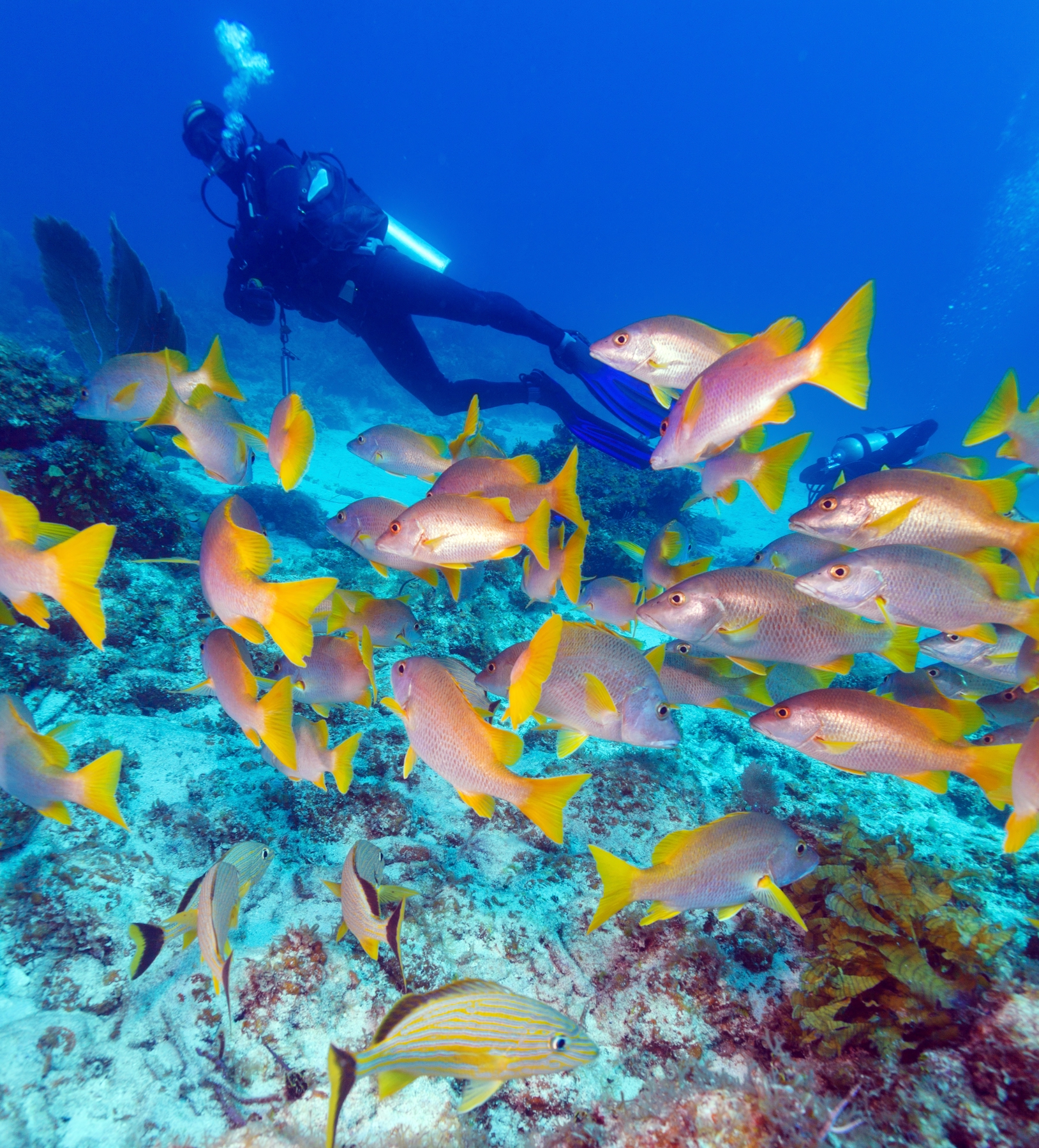 Key Largo