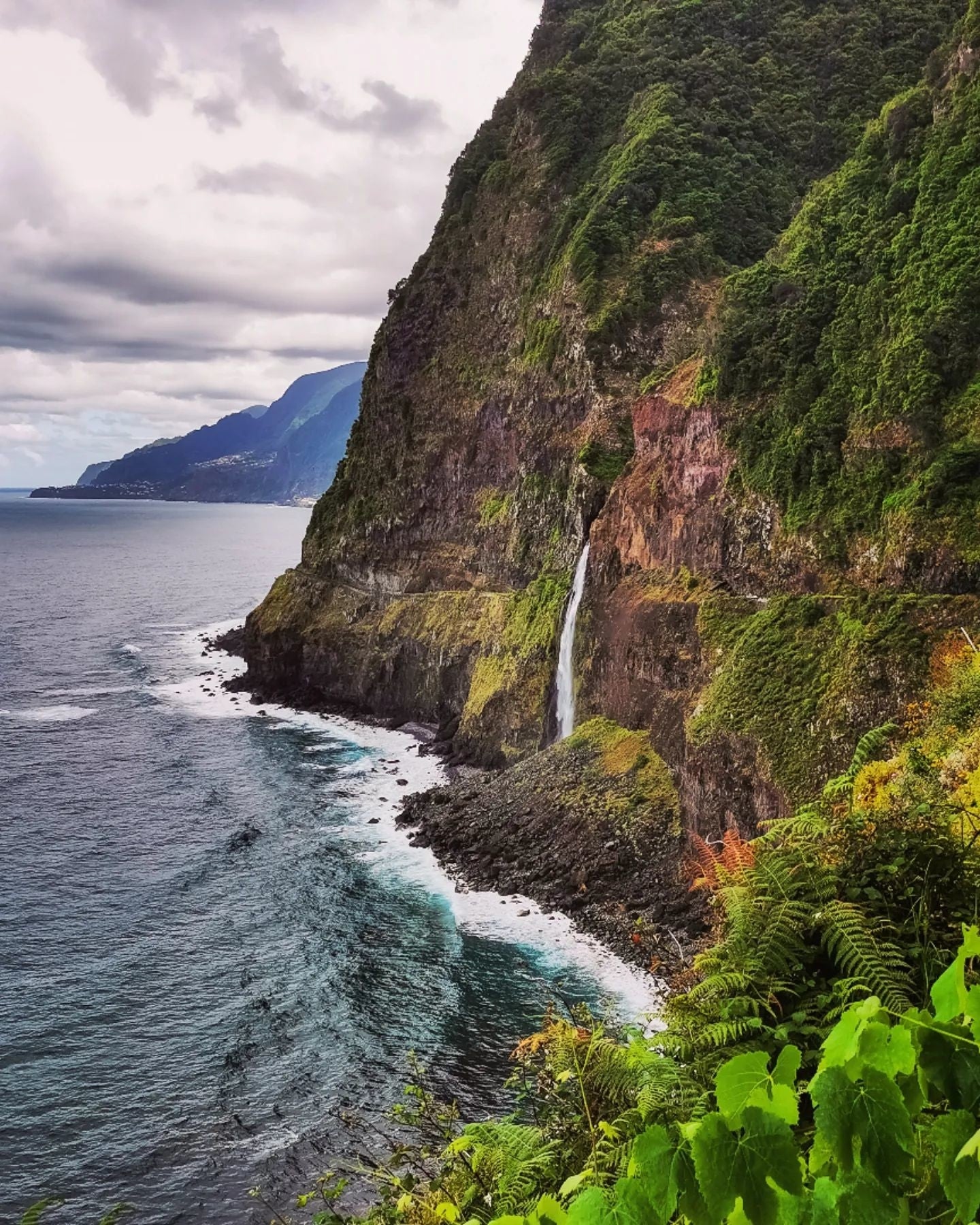 Die Insel Madeira auf einer Reise im Januar erkunden
