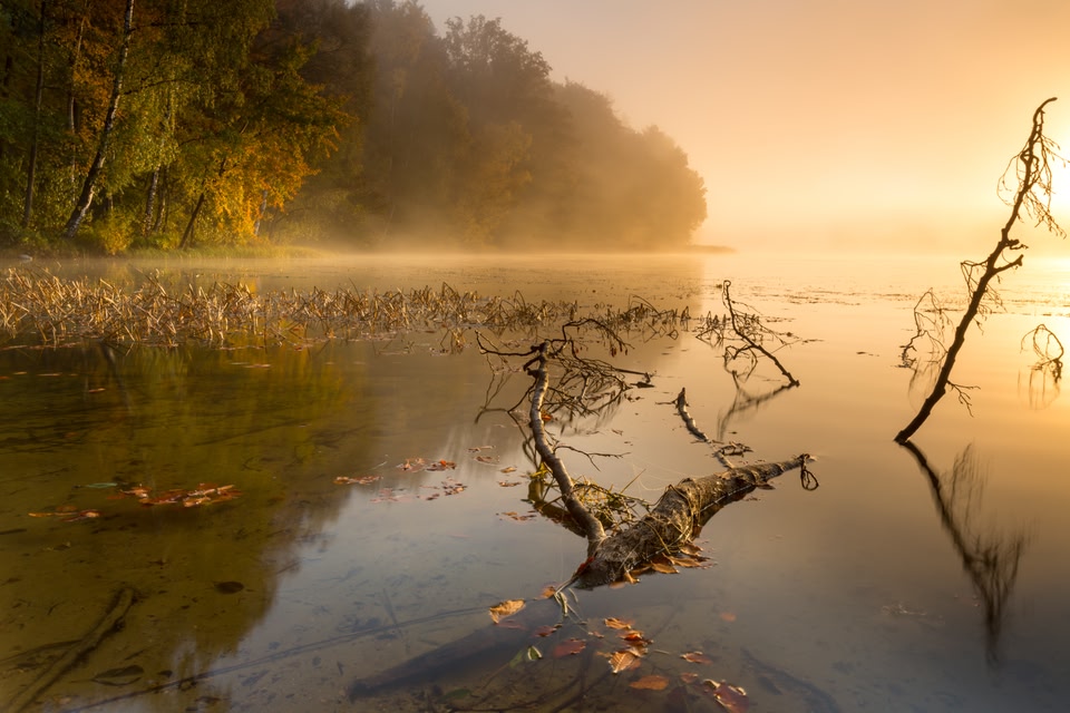 Kolorowy spływ: Pieniny