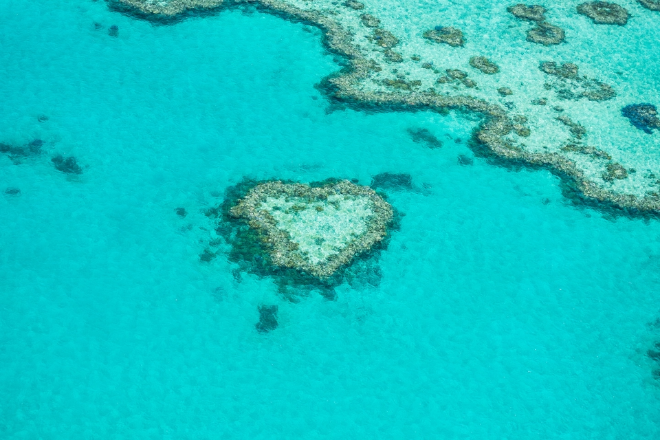 GettyImages-513483390