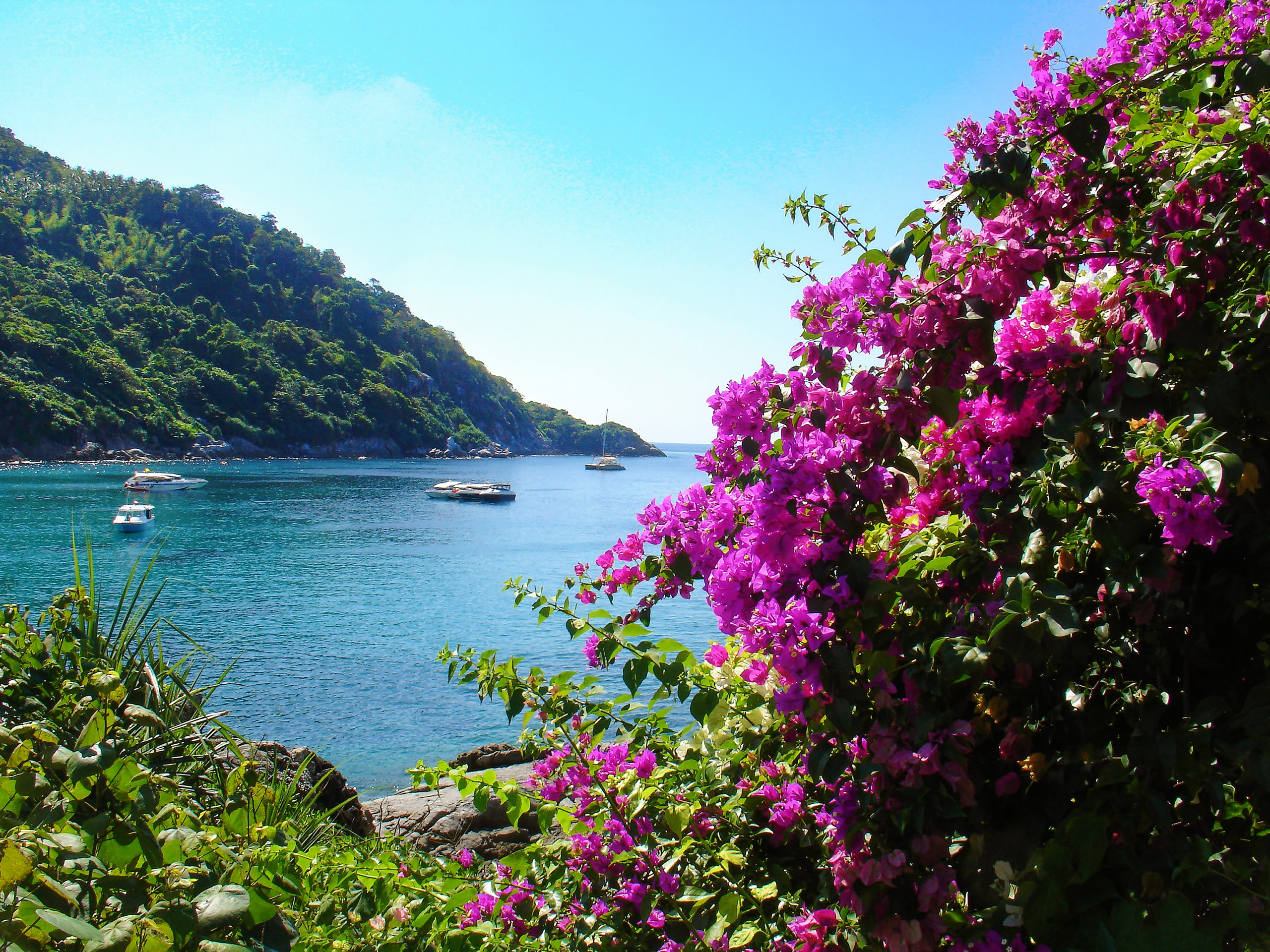 Purple Flowers, Blue Ocean, Yachts; Shutterstock ID 1179600661; purchase_order: -; job: -; client: -; other: -