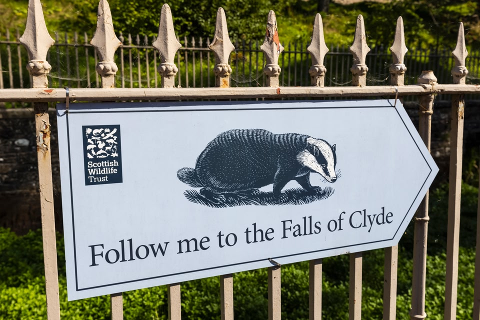 Tierwanderungen im Falls of Clyde Reserve