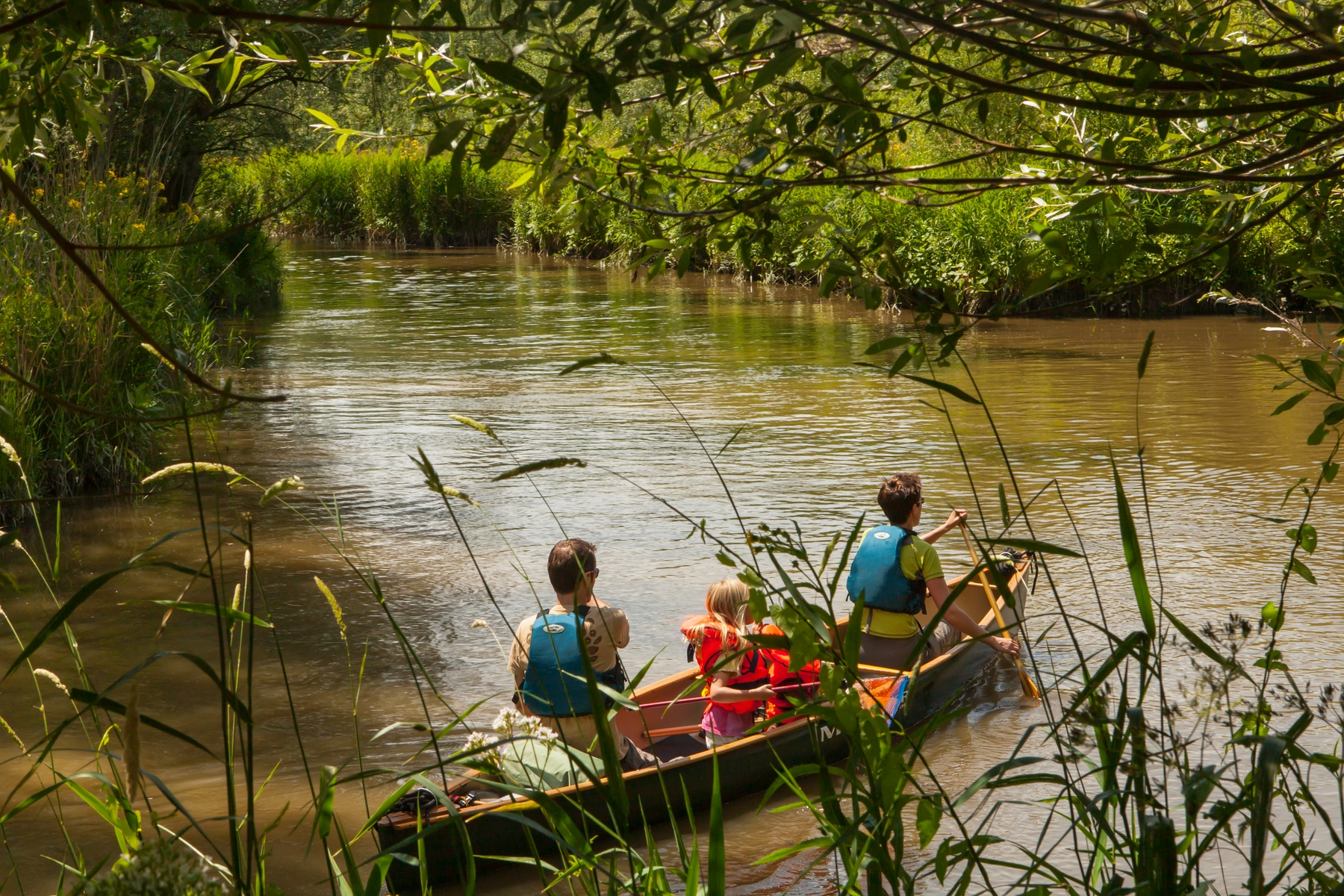 Nationaal Park de Biesbosch