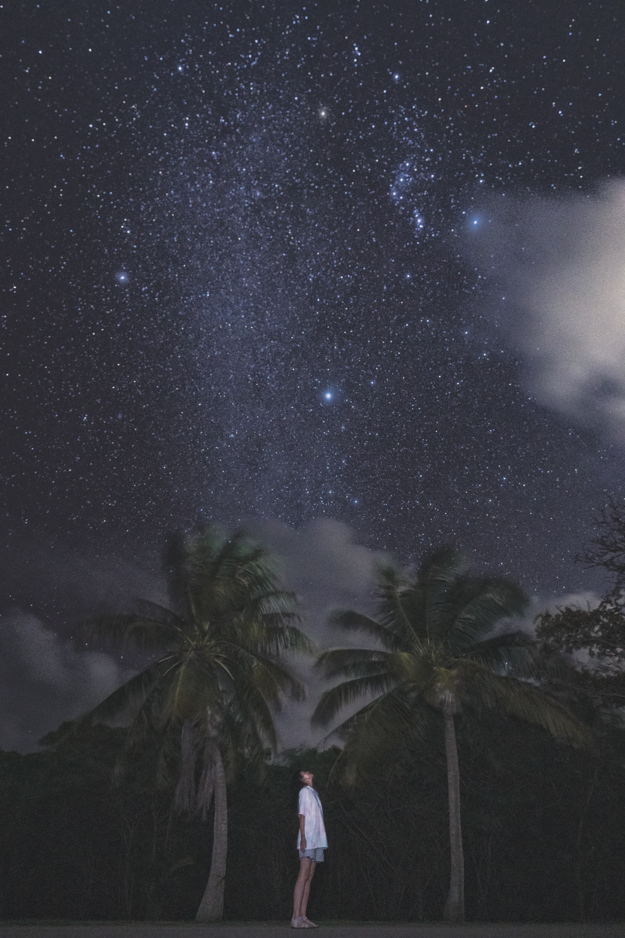 사진 제공 : 마리아나 관광청(Mariana Tourism Office)사이판 은하수