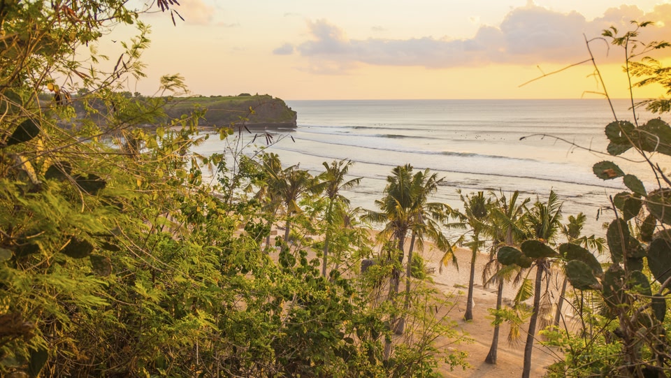 Tropical beach with palm trees at sunset, seen through lush foliage.