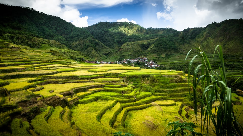 Die schönsten Reiseziele der Philippinen: Reisterrassen von Banaue, Luzon
