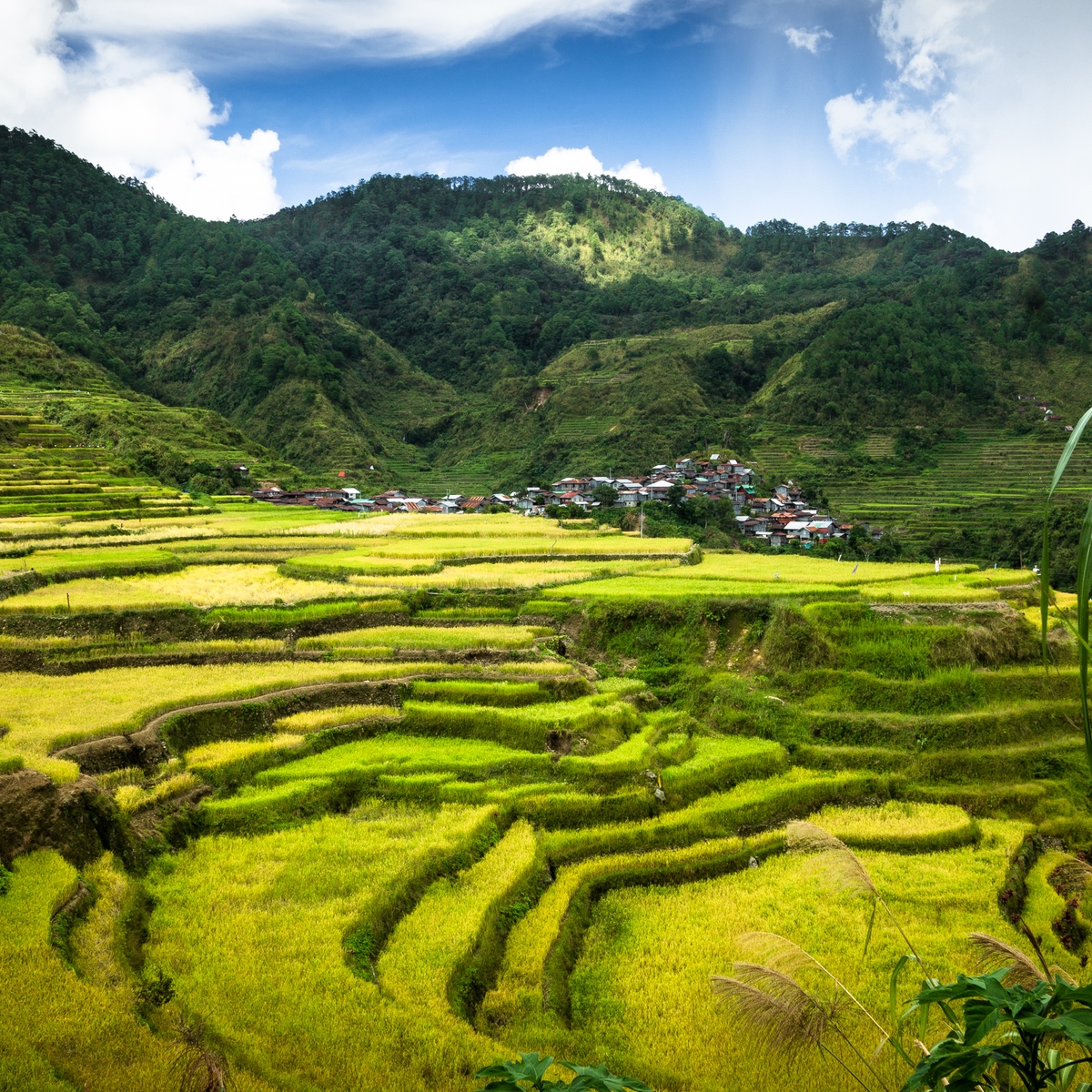 Die schönsten Reiseziele der Philippinen: Reisterrassen von Banaue, Luzon