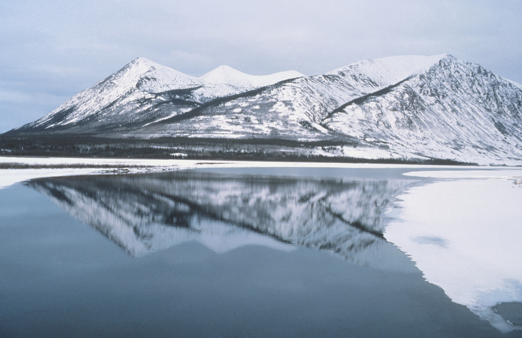 glaciers in Yukon
