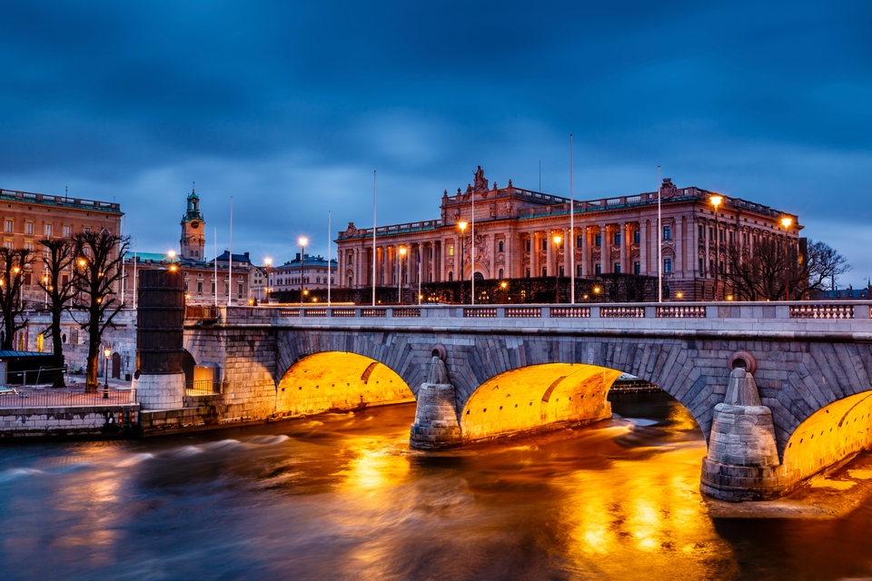 비온 후의 풍경